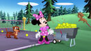 Minnie's Bow Toons Sound Ideas, BOING, CARTOON - HOYT'S BOING (high pitched)