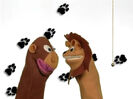 Baby Dolittle: World Animals (2001) (Videos) Sound Ideas, ANIMAL, HORSE - WHINNY AND NEIGH OUTSIDE VERSION 1