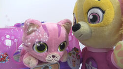 Toys Unlimited Nat and Essie Image Gallery 2018 Soundeffects
