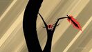 Samurai Jack Hishe Swoosh Sound