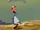 Disney Pop