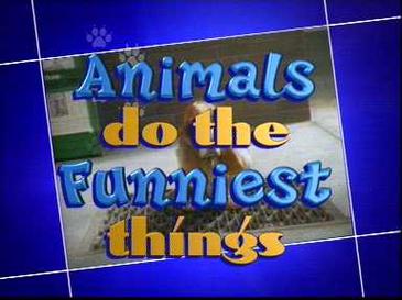 Animals Do the Funniest Things | Soundeffects Wiki | Fandom