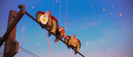 Cloudy with a Chance of Meatballs (2009) SKYWALKER, BIRD - RATBIRDS SQUAWKING