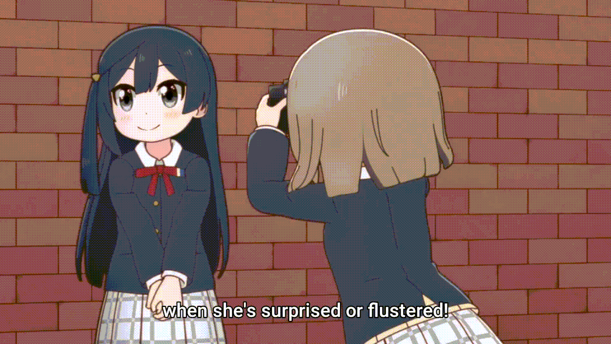 Anime Camera Sound 12 Soundeffects Wiki Fandom