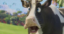 The Angry Birds Movie 2 Trailer Sound Ideas, COW - SINGLE MOO, ANIMAL 04