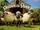 Shaun the Sheep