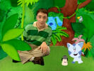 Blue's Clues Sound Ideas, BIRDS, JUNGLE - AFTERNOON JUNGLE BIRDS CALLING, ANIMAL