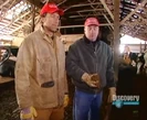 Dirty Jobs Sound Ideas, COW - SINGLE MOO, ANIMAL 06
