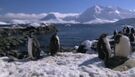 Sound Ideas, WHALE, HUMPBACK - HUMPBACK WHALE: UNDERWATER COMMUNICATION, SMALL GROUP IN BACKGROUND, ANIMAL 01