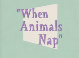 When Animals Nap