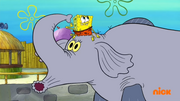 Who R Zoo Sound Ideas, COW - SINGLE MOO, ANIMAL 02.png
