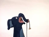 God Made Animals (2004) (Videos)