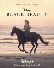 Black-Beauty-Poster