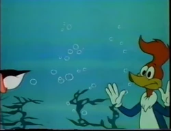 The Woody Woodpecker Show Image Gallery Soundeffects Wiki Fandom The Woody Woodpecker Show Image Gallery Soundeffects Wiki Fandom