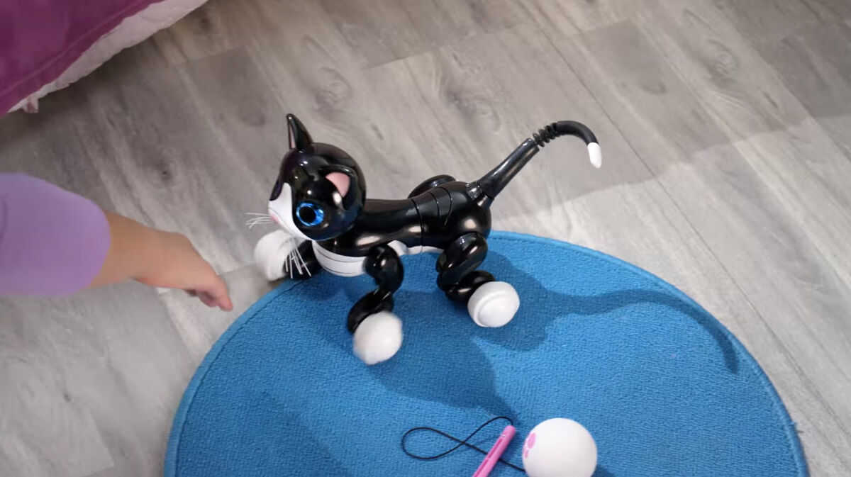 Zoomer 2024 kitty walmart