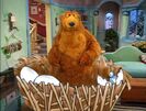 Bear in the Big Blue House Sound Ideas, CARTOON, BIRD - LIGHT TWITTERING OF BIRDS