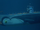 Sound Ideas, SUBMARINE, SONAR - SUBMARINE SONAR PINGS UNDERWATER