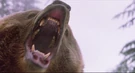 Snow Dogs (2002) Sound Ideas, BEAR - LARGE BLACK BEAR: SINGLE ROAR, ANIMAL 02