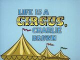 Life is a Circus, Charlie Brown (1980)