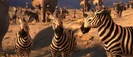 Bandicam 2024-09-24 22-42-15-488.jpg (99 KB) Animals United (2010) Hollywoodedge, Zebra Brays Multiple AT049901