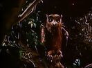 The Mouse and the Motorcycle (1986) Valentino Owl Hoots & Clucks