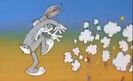 Looney Tunes "Blooper Bunny" Sound Ideas, AUTO, CRASH - SKIDS AND CRASHES 03