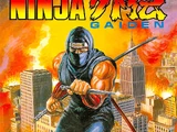 Ninja Gaiden (NES Video Game)