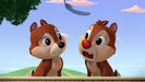 Chip 'N' Dale's Nutty Tales WB CARTOON, FALL - LONG WARBLY FALL
