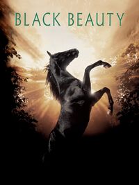 Black Beauty (1994)