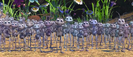 A Bug's Life (1998) Hollywoodedge, Large Interior Crowd PE140901