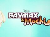 Baymax and Mochi