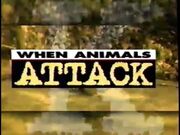 When Animals Attack 1996.jpg