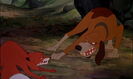 The Fox and the Hound (1981) Sound Ideas, DOG - GERMAN SHEPHERD: ANGRY GROWLS AND BARKS, ANIMAL (growl only, higher pitched)