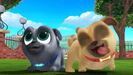 Puppy Dog Pals Sound Ideas, BOINK, CARTOON - TIMP DOINK