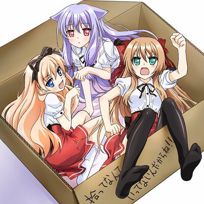 Mayoi Neko Overrun.png