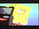 The SpongeBob SquarePants Movie (2004) Trailer Hollywoodedge, Medium Exterior Crow PE141401