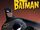 The Batman (2004 TV Series)