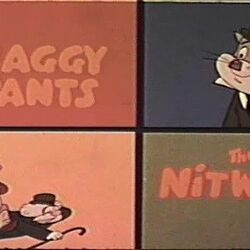 Baggy Pants & the Nitwits