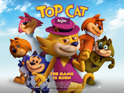Top cat begins poster