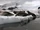 Sound Ideas, PENGUIN - EMPEROR PENGUIN: SINGLE LONG CALL, ANIMAL, BIRD 02
