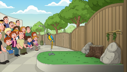 Family guy kisscartoon season 17 new arrivals