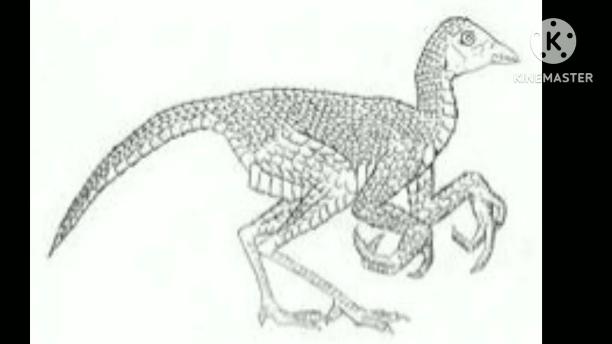 Freesound, Demon Rat screech Wav | Soundeffects Wiki | Fandom