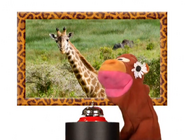 Wild Animal Safari (2010) (Videos) Sound Ideas, BELL, DESK - DESK BELL: SINGLE RING, COMEDY 01