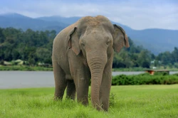 2fdcf0 799ec75bf4a0438f8f4ef8601a6ebf11~mv2