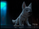 Bolt Hollywoodedge, Dog Cries High Pitche TE015801 1