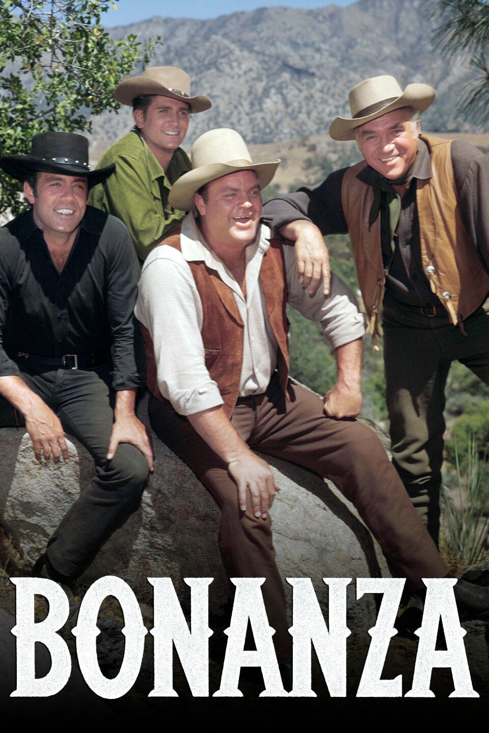 Bonanza Poster.jpg