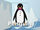 Sound Ideas, PENGUIN - EMPEROR PENGUIN: SINGLE LONG CALL, ANIMAL, BIRD 01