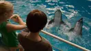 Dolphin Tale (2011) Unknown Dolphin Chirping Sound 02