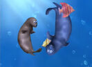 Sound Ideas, SEAL LION - BARKING, ANIMAL 01