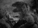 King Kong (1933) Valentino Tiger Roaring and Snarling (5th roar/snarl only, reversed)
